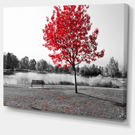 Red Tree over Park Bench - Large Landscape Canvas Art Print