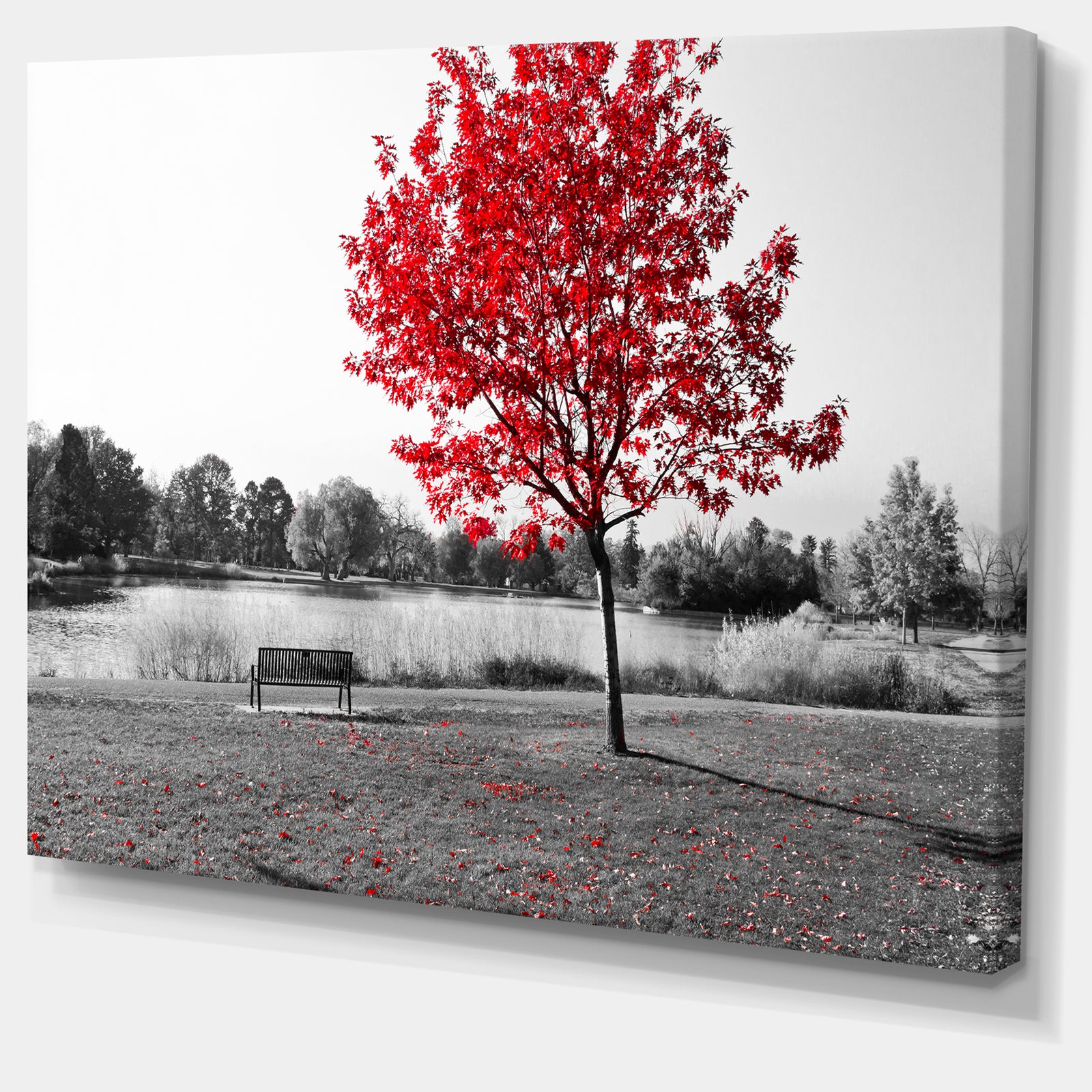 Red Tree over Park Bench - Large Landscape Canvas Art Print