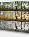 Three Seasons Forest Panorama - Extra Large Landscape Canvas Art Print