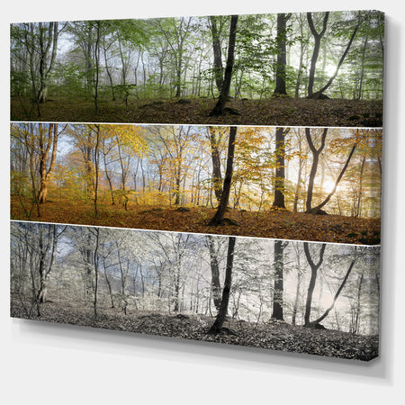Three Seasons Forest Panorama - Extra Large Landscape Canvas Art Print