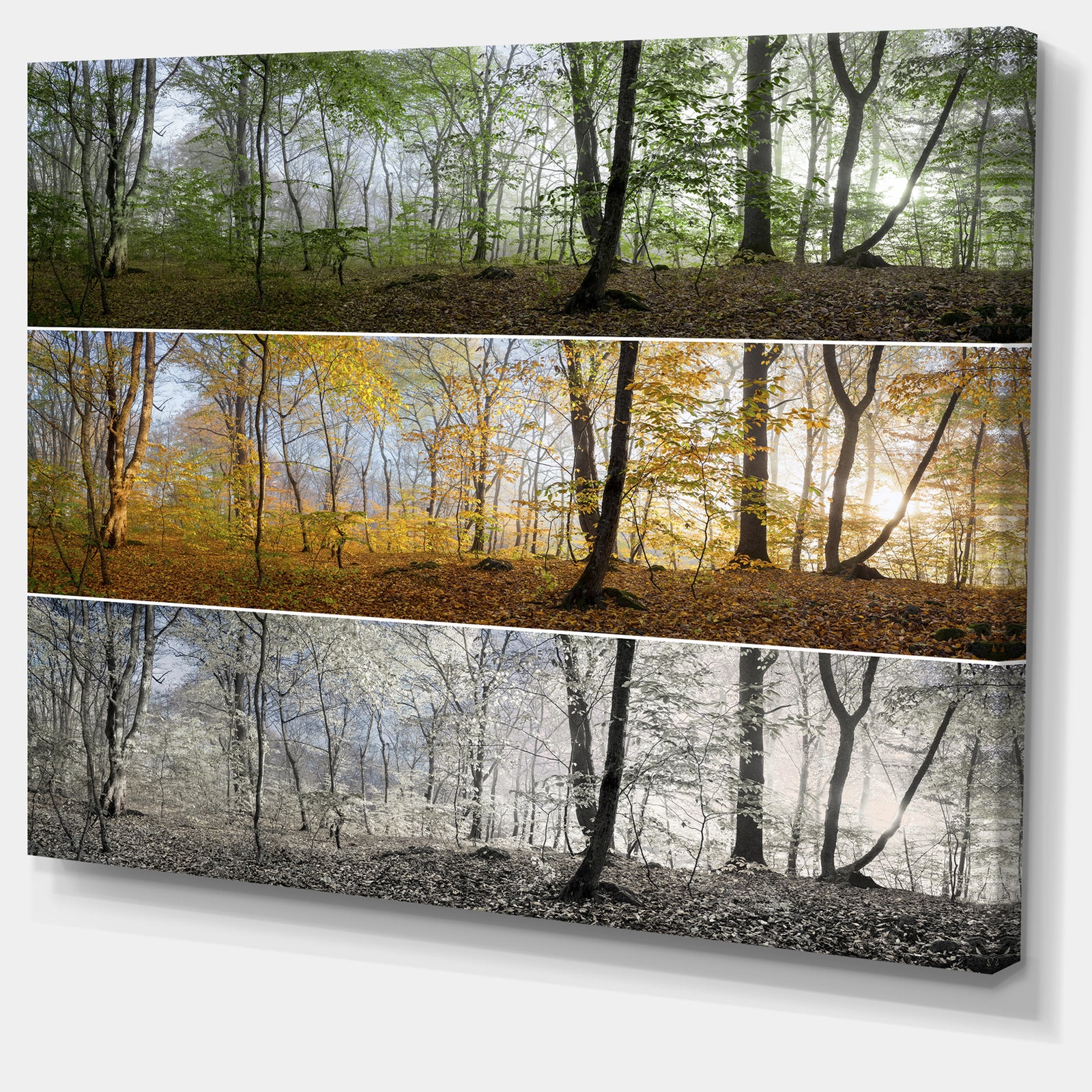 Three Seasons Forest Panorama - Extra Large Landscape Canvas Art Print