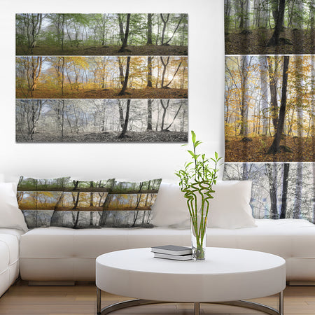 Three Seasons Forest Panorama - Extra Large Landscape Canvas Art Print