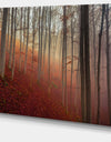 Foggy Day in Enchanted Forest - Large Landscape Canvas Art Print