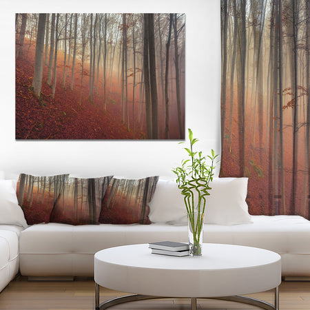 Foggy Day in Enchanted Forest - Large Landscape Canvas Art Print