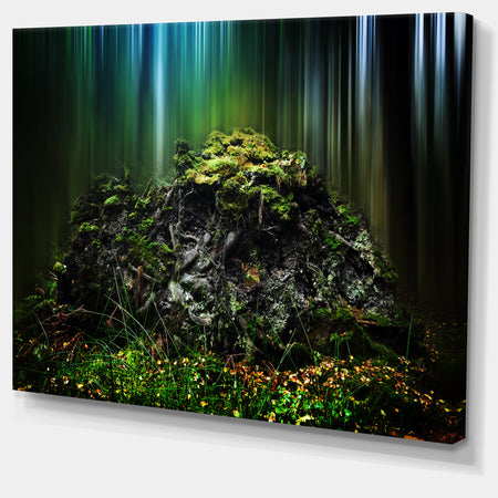 Dark Forest on Snowy Morning - Large Landscape Canvas Art Print