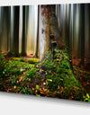 Green Forest on Snowy Morning - Large Landscape Canvas Art Print