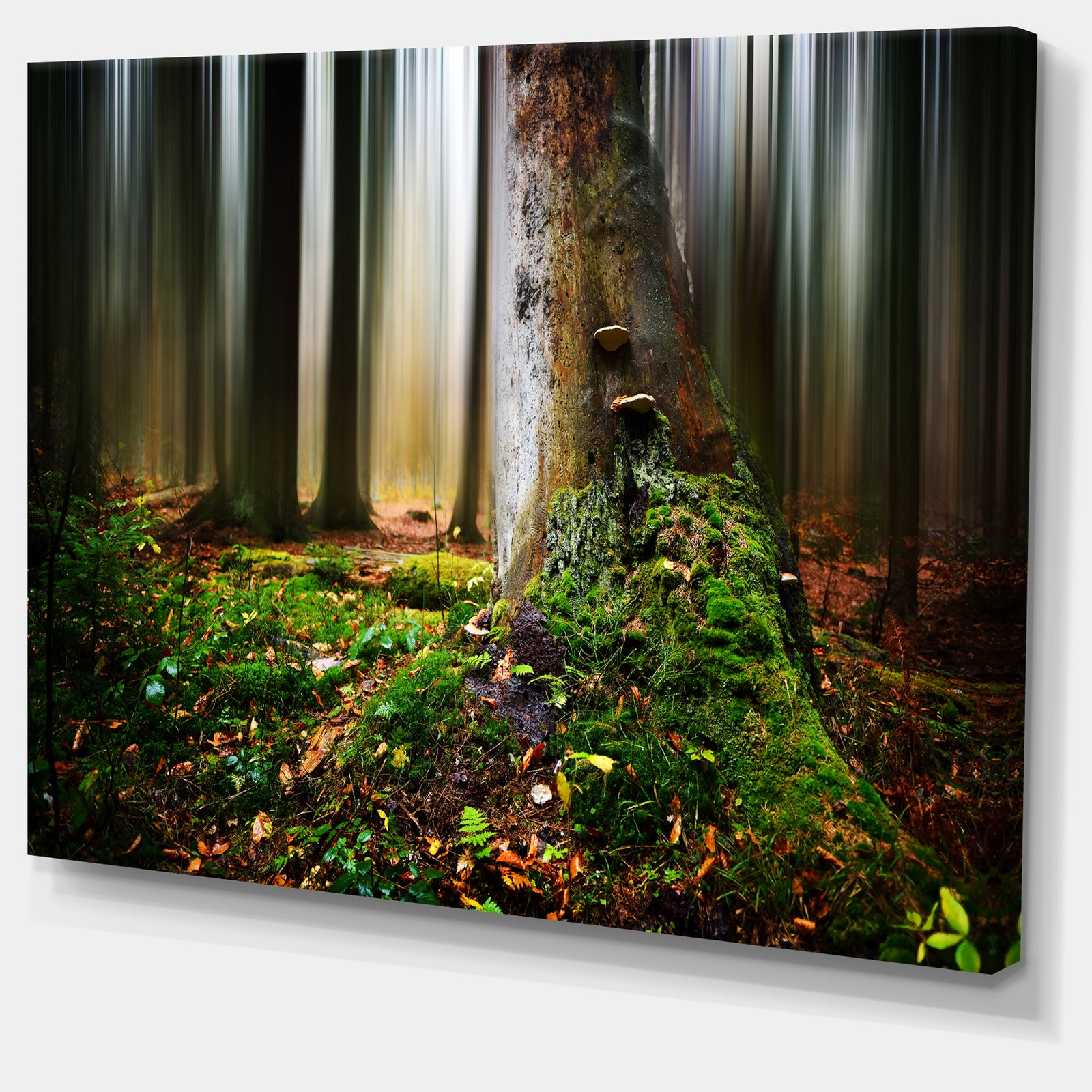 Green Forest on Snowy Morning - Large Landscape Canvas Art Print