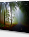 Fall Landscape in the Forest - Large Landscape Canvas Art Print