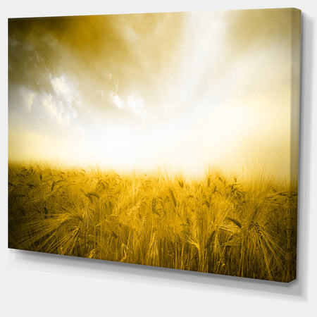 Yellow Meadow under Bright Sun - Extra Large Landscape Canvas Art Print