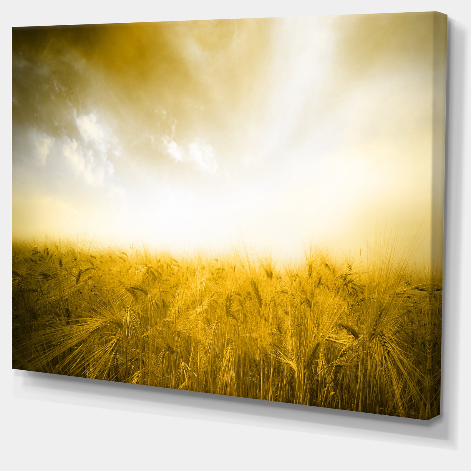 Yellow Meadow under Bright Sun - Extra Large Landscape Canvas Art Print