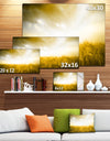 Yellow Meadow under Bright Sun - Extra Large Landscape Canvas Art Print