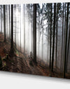 Misty Forest Morning Panorama - Large Landscape Canvas Art Print