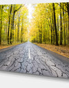 Cracked Road in the Forest - Extra Large Landscape Canvas Art Print