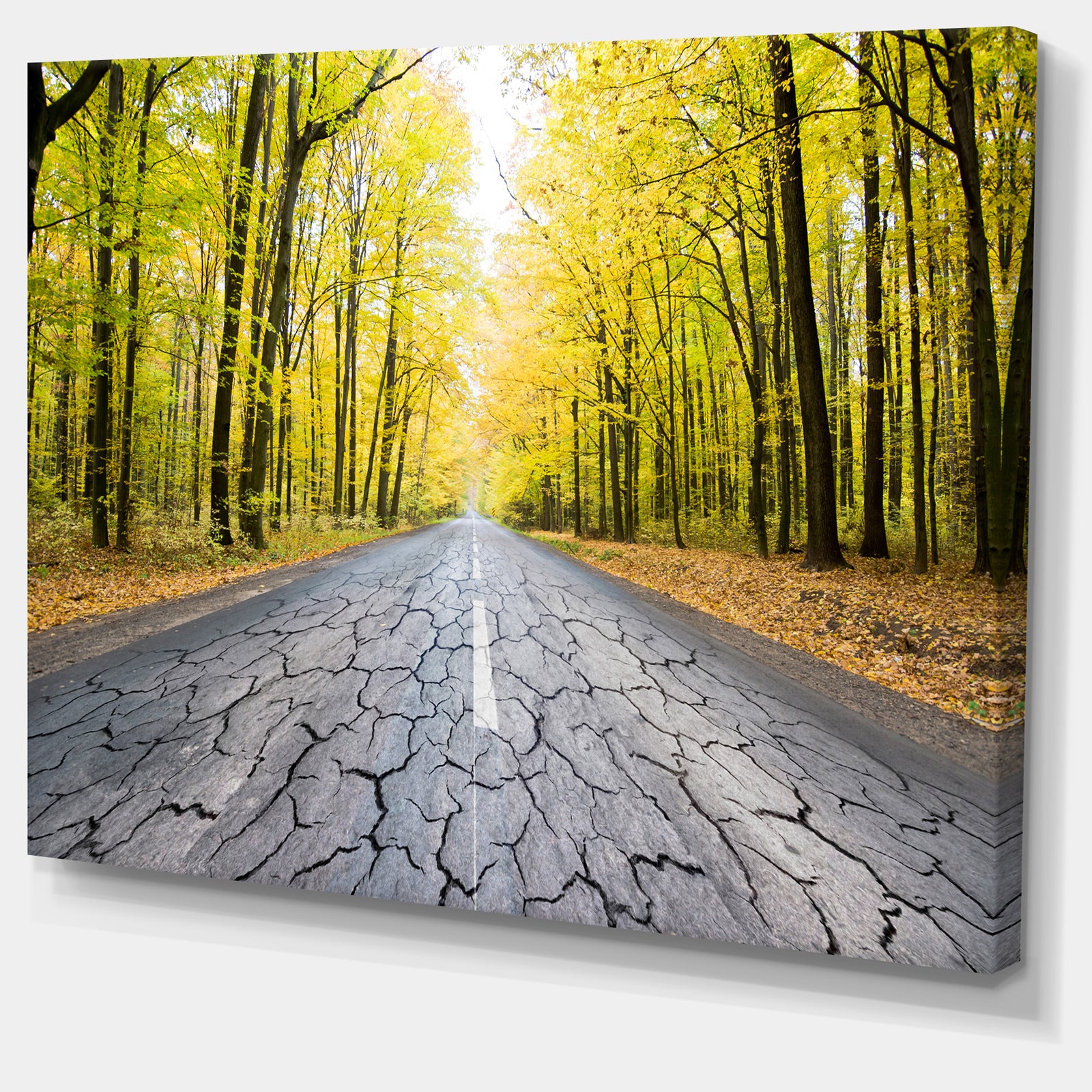 Cracked Road in the Forest - Extra Large Landscape Canvas Art Print