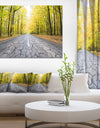 Cracked Road in the Forest - Extra Large Landscape Canvas Art Print