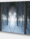Winter Forest with Dark Woods - Extra Large Landscape Canvas Art Print