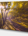 Bicycle Ride in Fall Forest - Extra Large Landscape Canvas Art Print