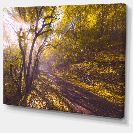 Bicycle Ride in Fall Forest - Extra Large Landscape Canvas Art Print