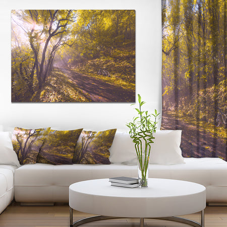 Bicycle Ride in Fall Forest - Extra Large Landscape Canvas Art Print