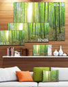 Thick Green Forest Panorama - Large Landscape Canvas Art Print