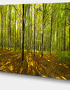 Green Autumn Forest Panorama - Extra Large Landscape Canvas Art Print