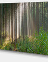 Green Forest in Mist Panorama - Extra Large Landscape Canvas Art Print