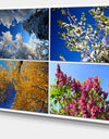 Four Seasons of Nature Collage - Large Landscape Canvas Art Print