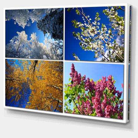 Four Seasons of Nature Collage - Large Landscape Canvas Art Print
