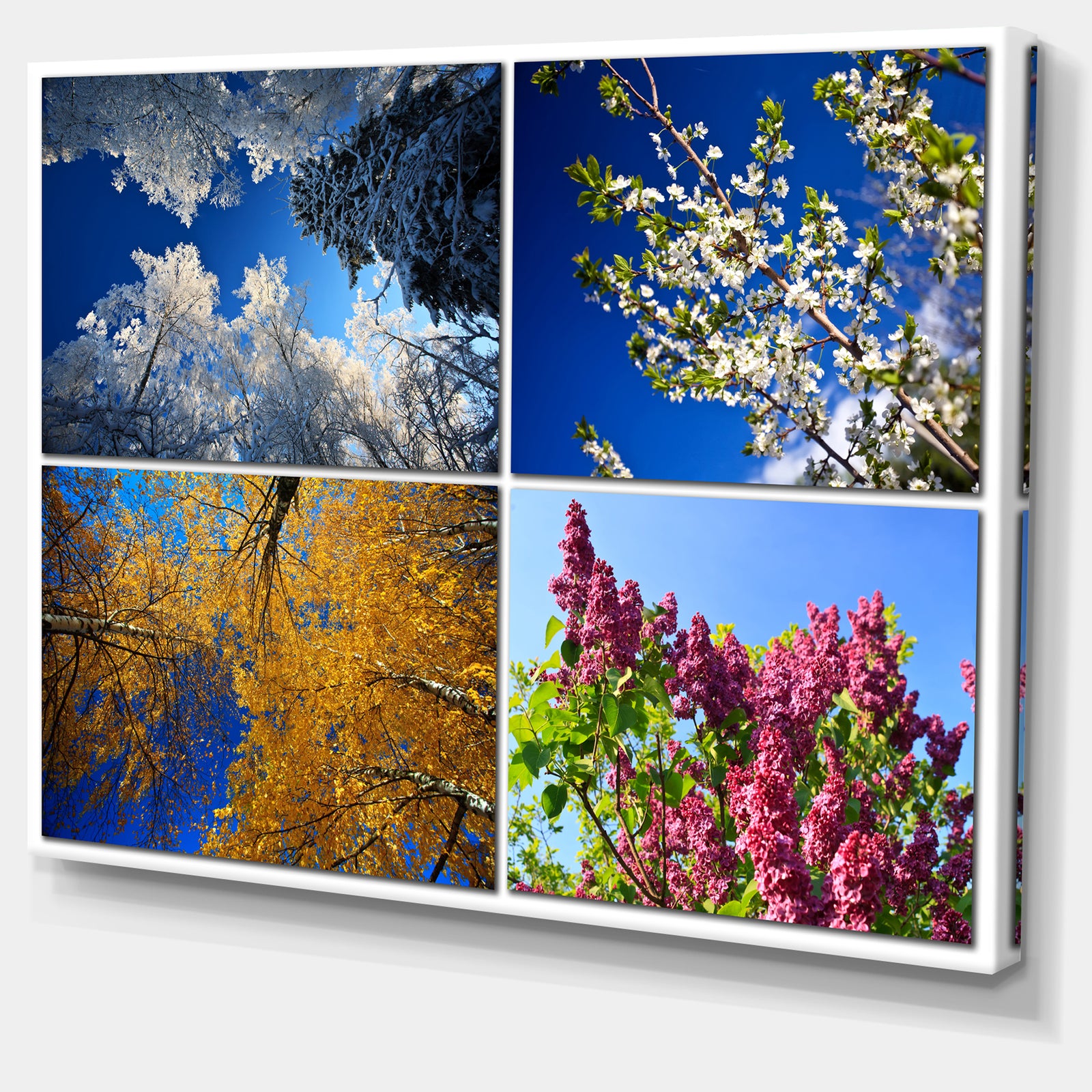 Four Seasons of Nature Collage - Large Landscape Canvas Art Print
