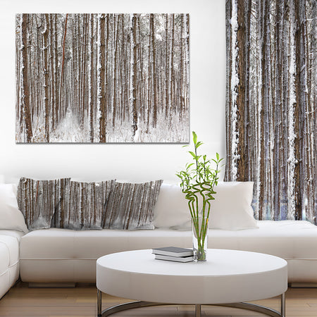 Dense Pine Forest in Winter - Large Landscape Canvas Art Print