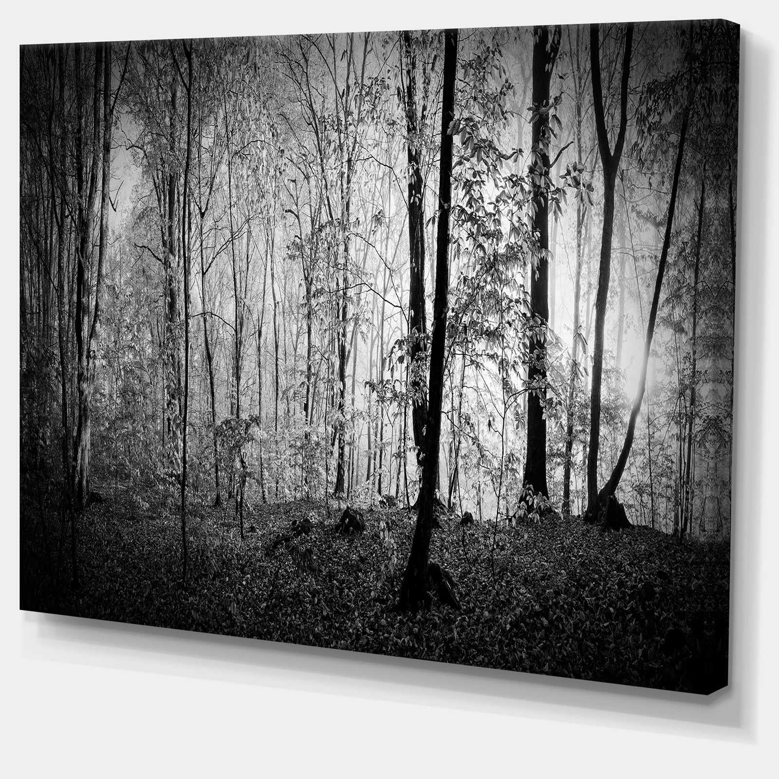 Beautiful Forest Morning Panorama - Extra Large Landscape Canvas Art Print