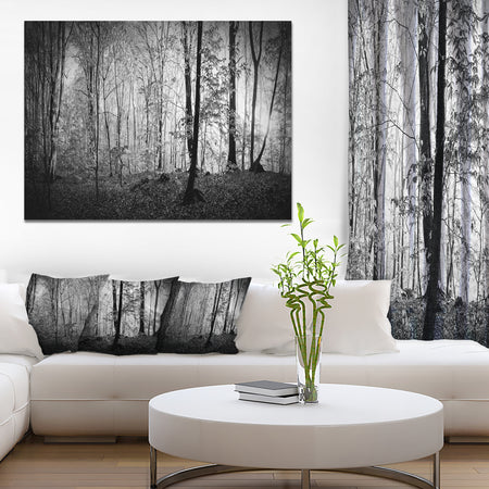 Beautiful Forest Morning Panorama - Extra Large Landscape Canvas Art Print