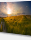 Sunset in Field of Grain Panorama - Large Landscape Canvas Art Print