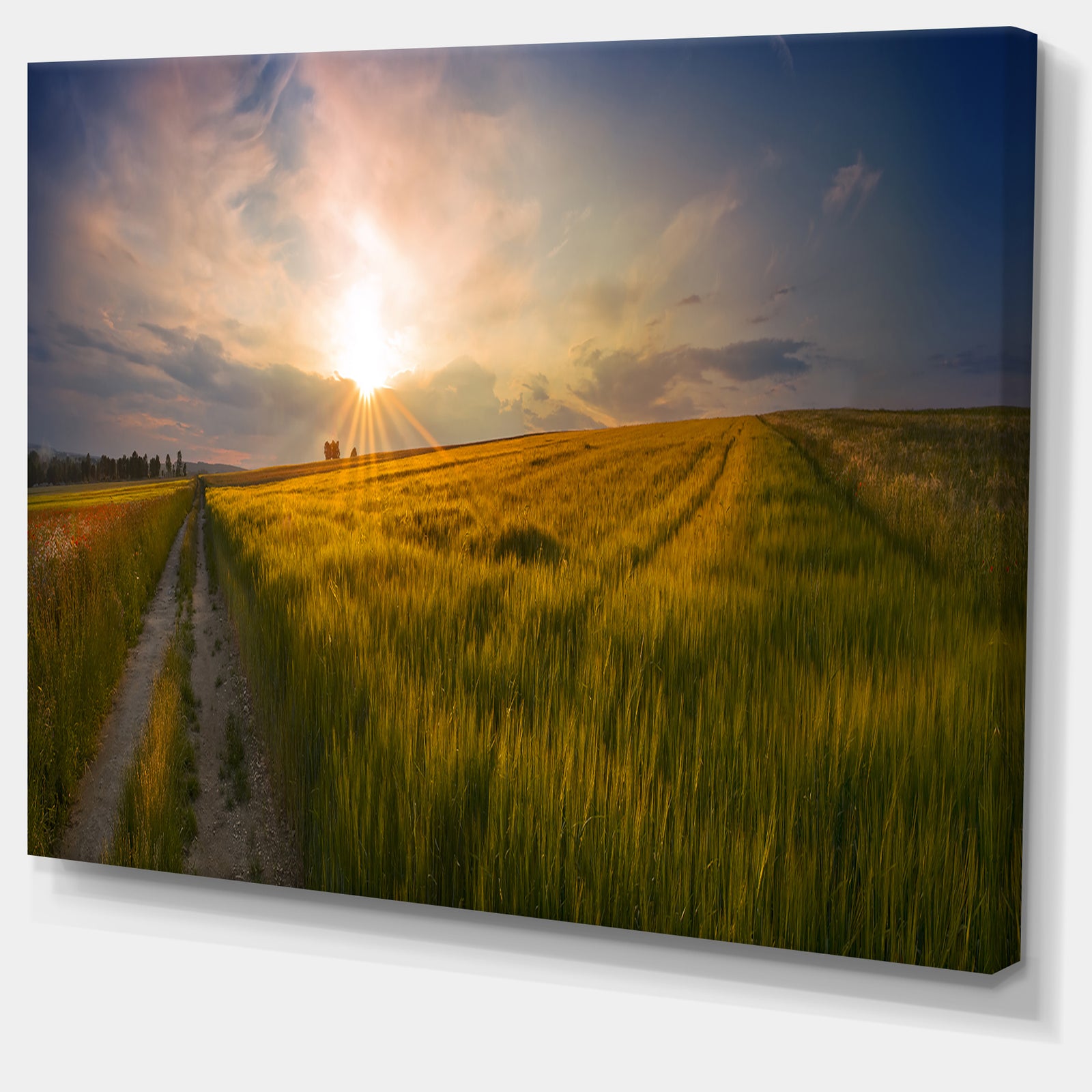 Sunset in Field of Grain Panorama - Large Landscape Canvas Art Print