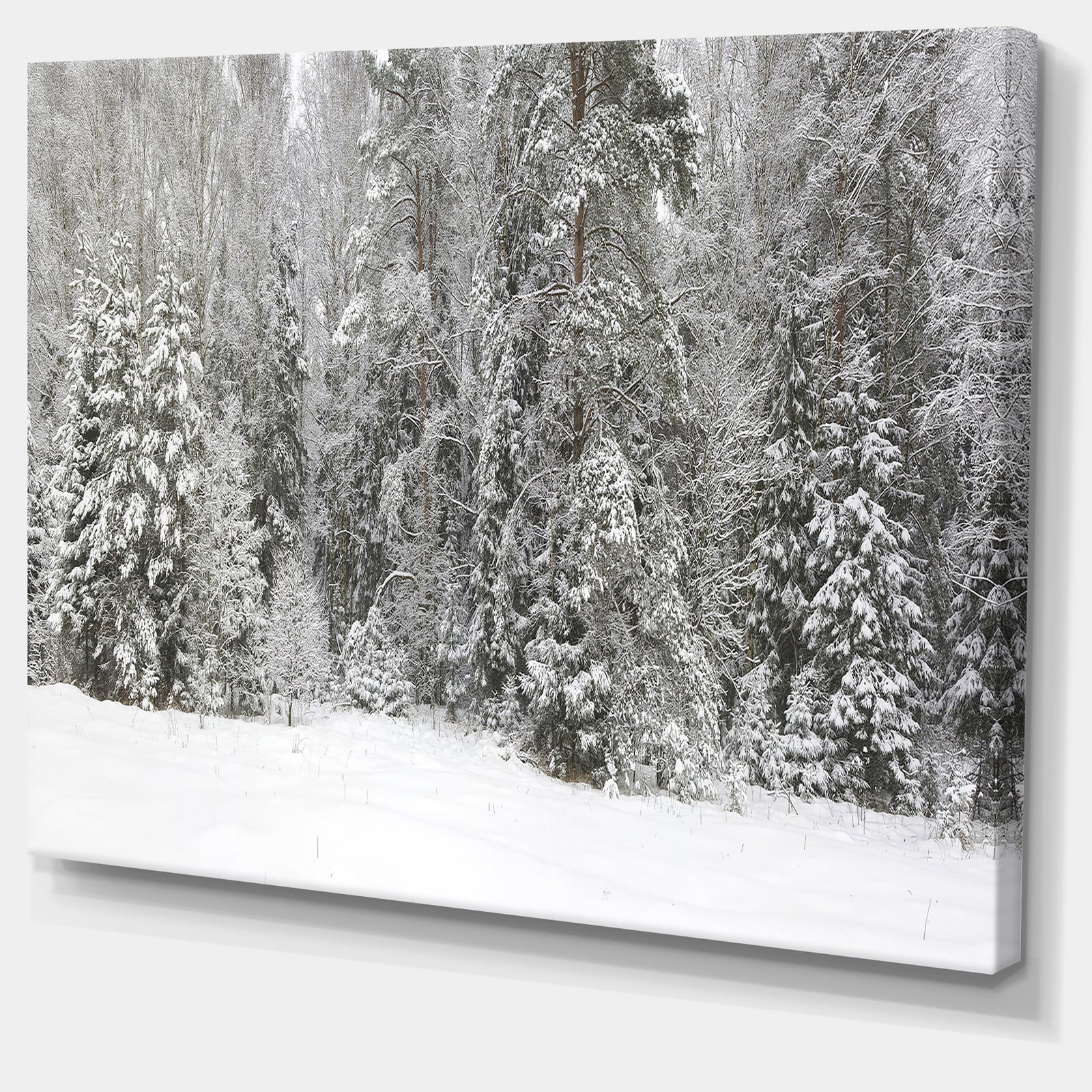 Foggy Winter Forest Panorama - Extra Large Landscape Canvas Art Print