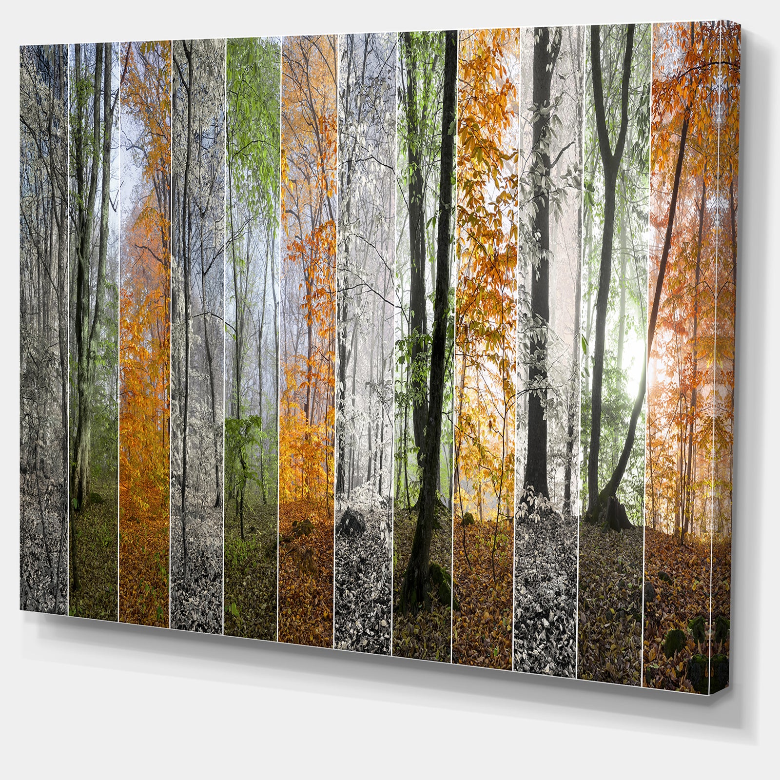 Wood Panorama Changing Seasons - Large Landscape Canvas Art Print