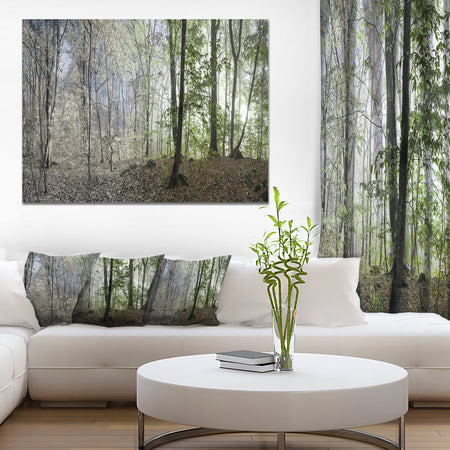 Green Morning in Forest Panorama - Landscape Large Canvas Art Print