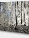 Dark Morning in Forest Panorama - Landscape Large Canvas Art Print