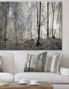 Dark Morning in Forest Panorama - Landscape Large Canvas Art Print