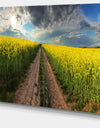 Sunset over Canola Panorama - Landscape Large Canvas Art Print