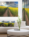 Sunset over Canola Panorama - Landscape Large Canvas Art Print