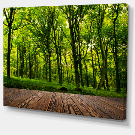Green Forest with Dense Woods - Landscape Large Canvas Art Print