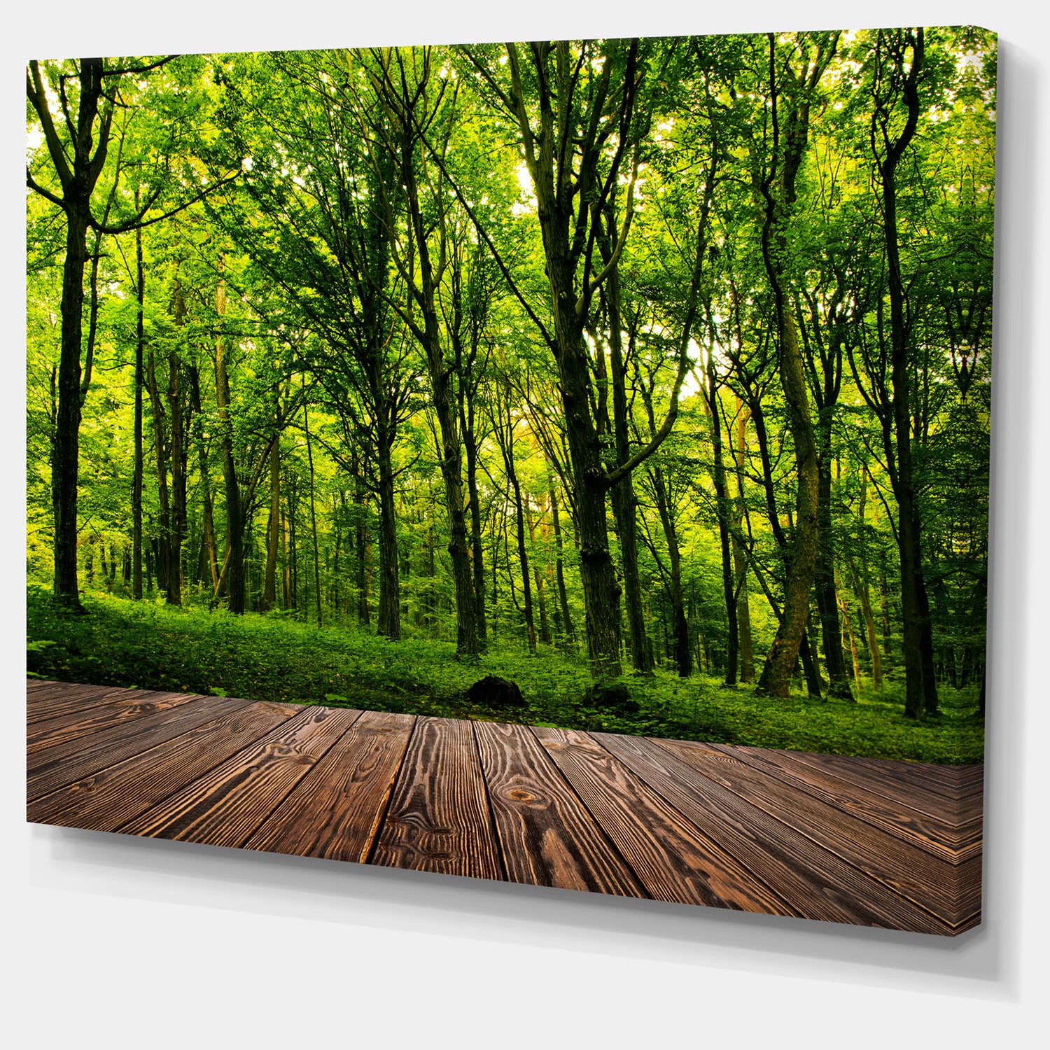 Green Forest with Dense Woods - Landscape Large Canvas Art Print