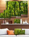 Green Forest with Dense Woods - Landscape Large Canvas Art Print