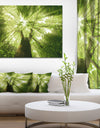 Sunlight Peeking through Green Tree - Landscape Large Canvas Art Print