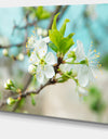 Beautiful Cherry Blossom n Spring - Modern Floral Large Canvas Art