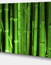 Green Bamboo Forest - Modern Floral Large Canvas Art