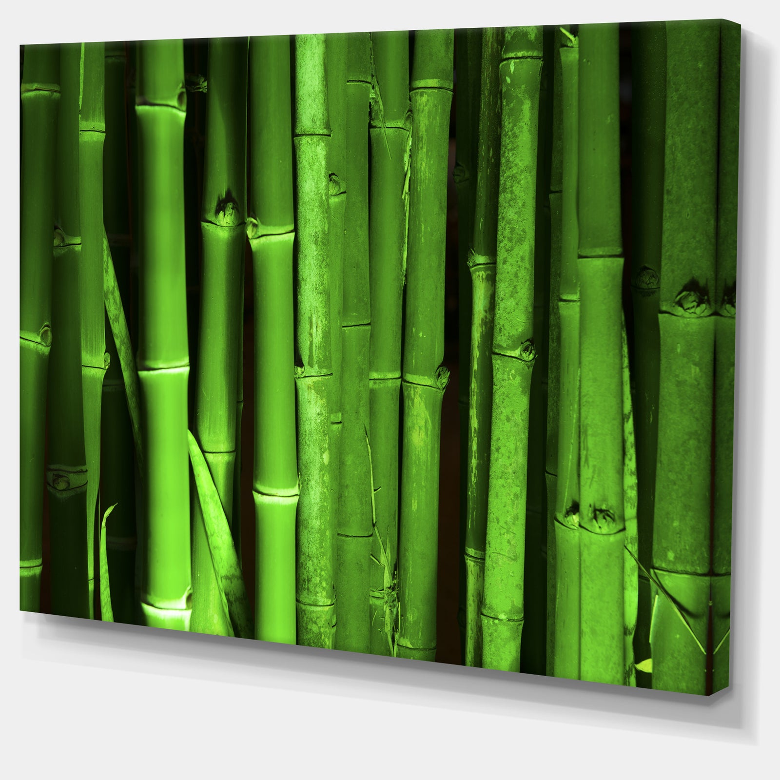 Green Bamboo Forest - Modern Floral Large Canvas Art
