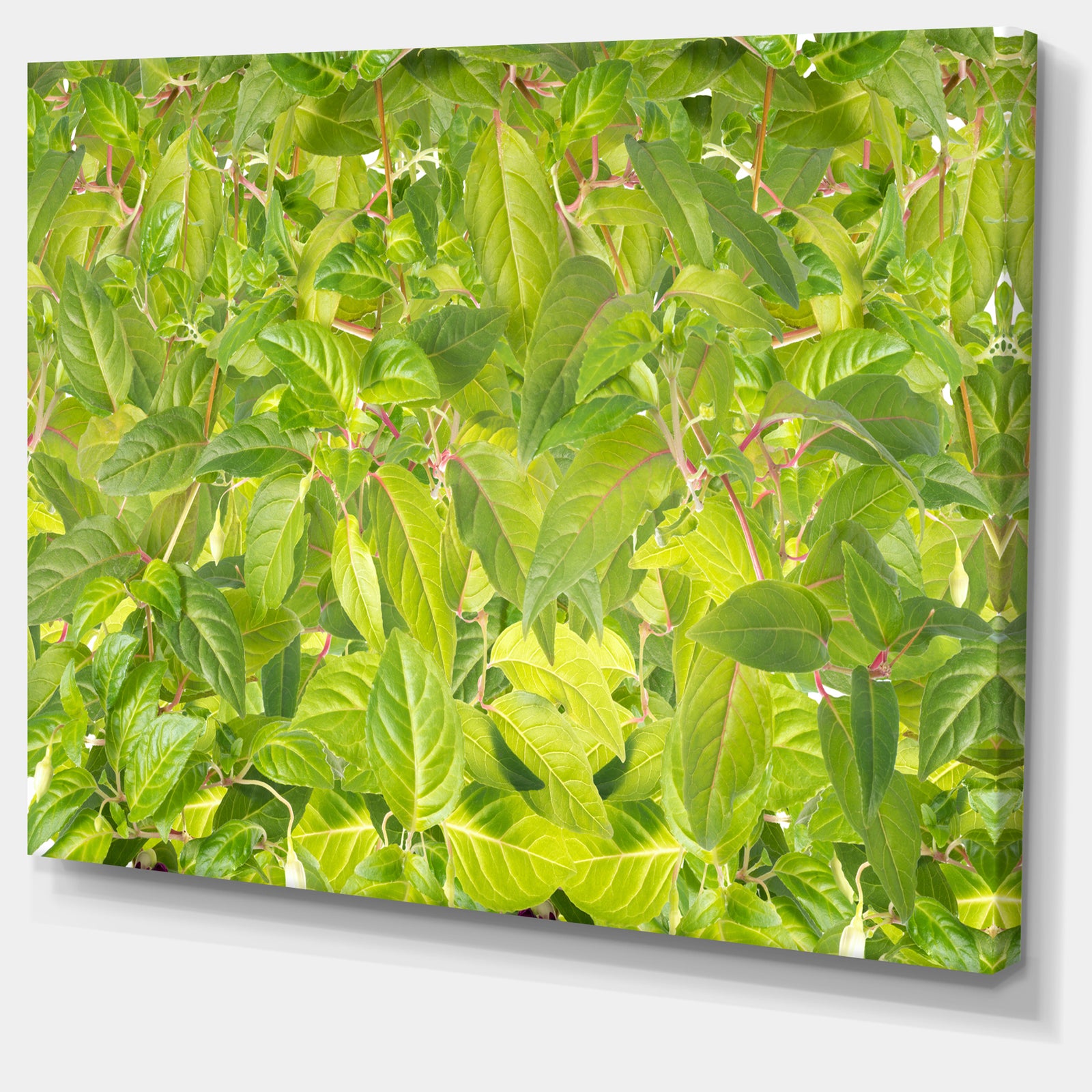Bright Fuchsia Green Foliage - Modern Floral Large Canvas Art