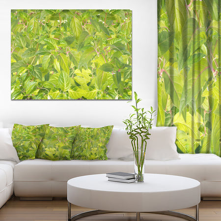Bright Fuchsia Green Foliage - Modern Floral Large Canvas Art